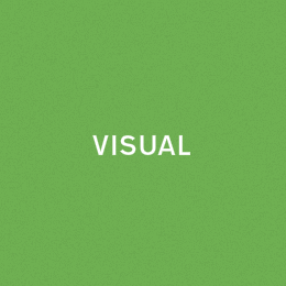 visual