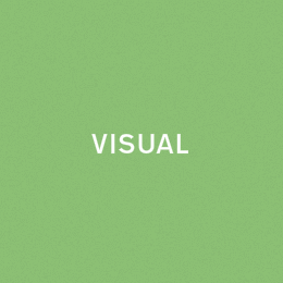 visual